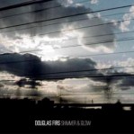 Douglas Firs - Shimmer & Glow