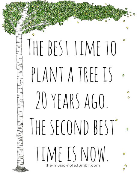 33a9cfd49174e55432d05dfef909d9db