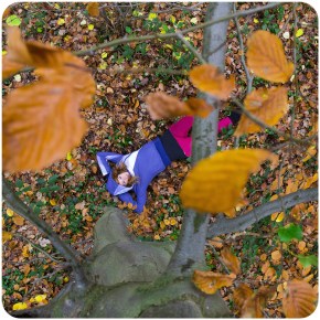 Plaatjes en praatjes: november&nbsp;2014