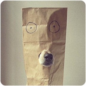 De beste stuurlui hebben wallen… of&nbsp;zoiets