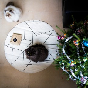 Plaatjes en praatjes: december&nbsp;2014