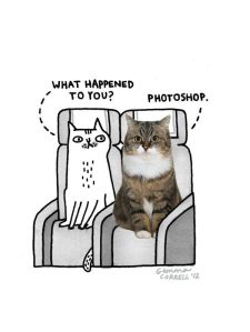 Gemma Correll-photoshop