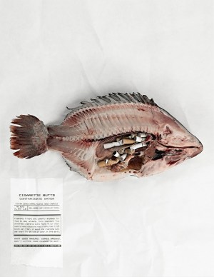 Cigarette butts kill wildlife. Fish.