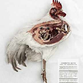 Ho grote wereldbrol, ik snap er niet veel&nbsp;van