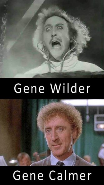 pun meme gene wilder
