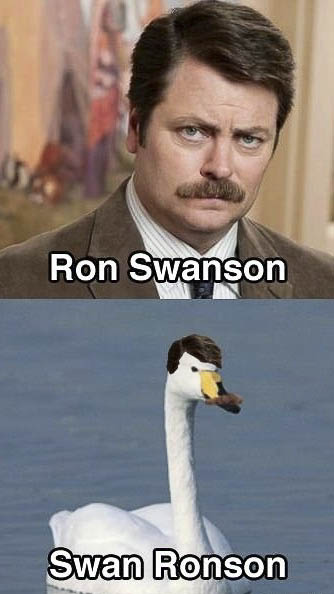 pun meme ron swanson