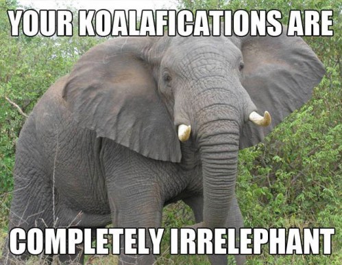 dda059210a08a1a12eb0f1fcaac6ccaa-2