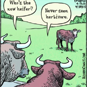 Flauwe woordspelingen V