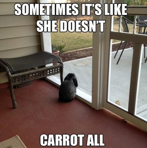 32741fa092_1382083936_k5lZdOm__list-noup