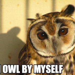 Flauwe woordspelingen VI