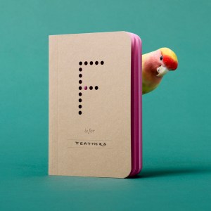 Housemartin_Personalife_Feathers_ZNOR(1)