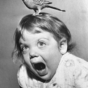 One two three …&nbsp;fear