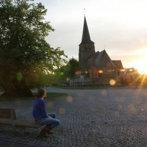 Laat ons een boom en wat gras dat nog groen&nbsp;is