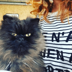 Plaatjes en praatjes: januari en februari&nbsp;2018