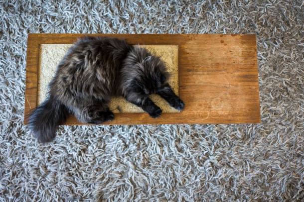 27023445_10155364733317898_2342465373737990294_o