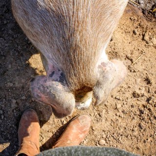 B752CD2E-0157-4CBD-8D5D-649C386C368C-2