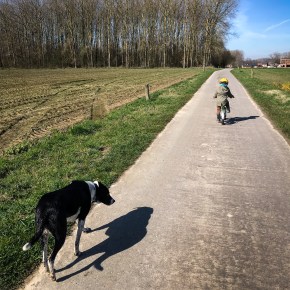 Plaatjes en praatjes: maart&nbsp;2020