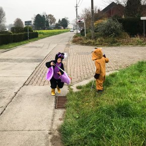 Plaatjes en praatjes: oktober & november&nbsp;2020