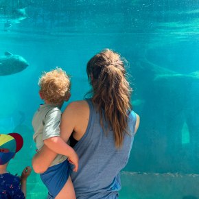 Campertrip met kinderen: drie dagen regio Brugge – dag 1: Boudewijn&nbsp;Seapark