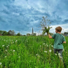Westrem leeft: waarom moet het groen wijken? 